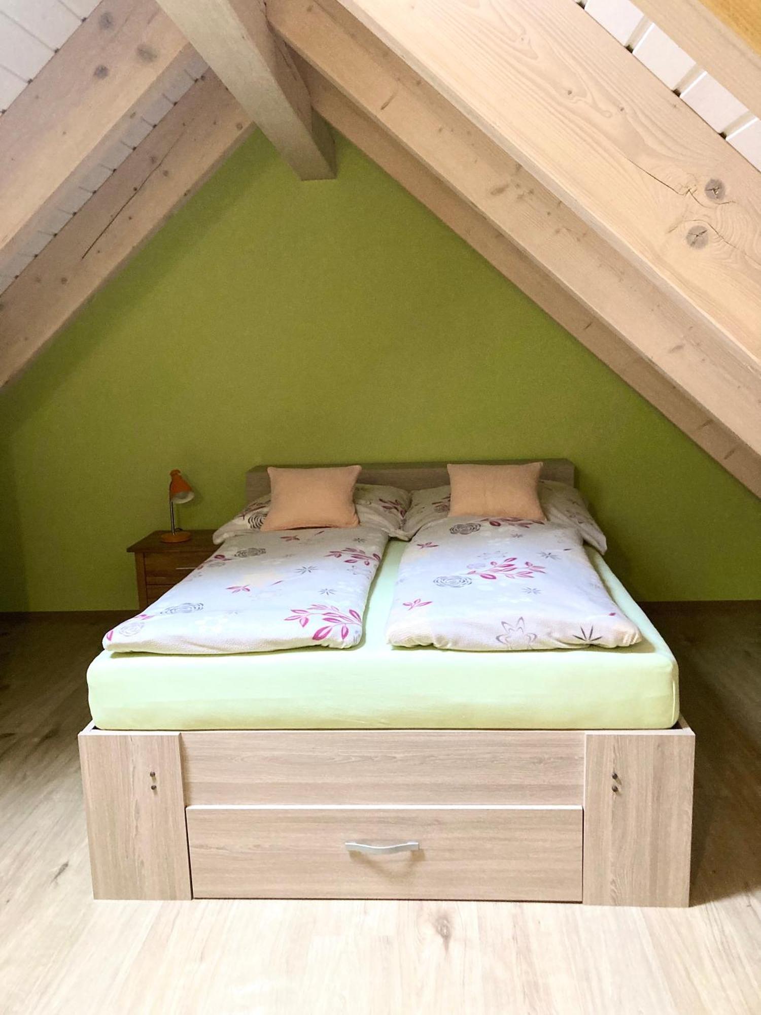 Villa Jana Janske Lazne Bagian luar foto