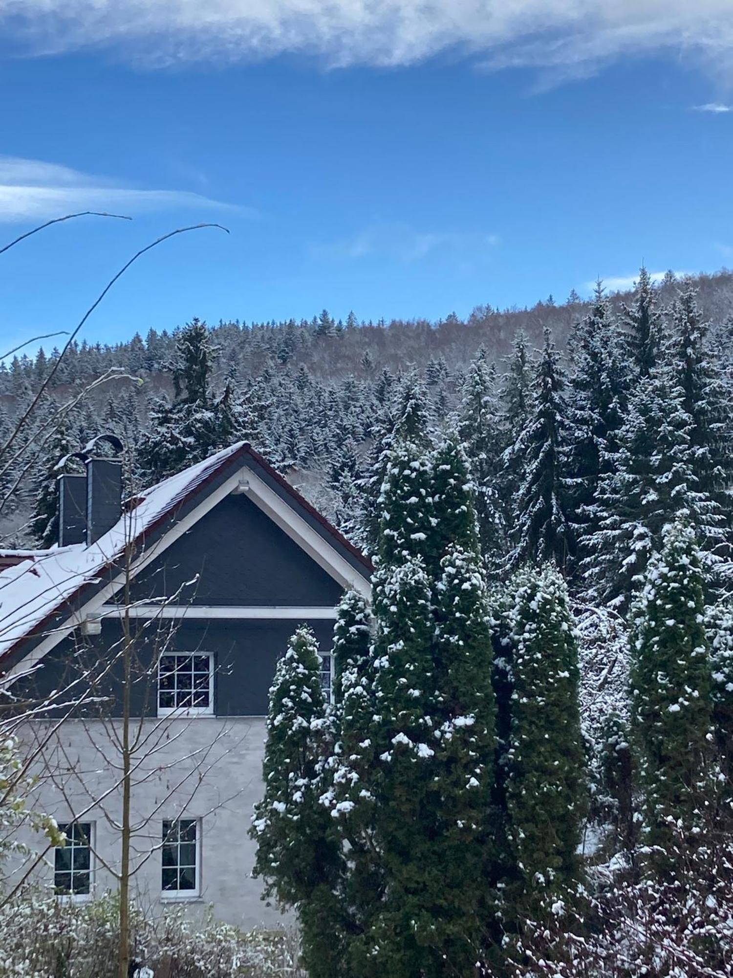 Villa Jana Janske Lazne Bagian luar foto