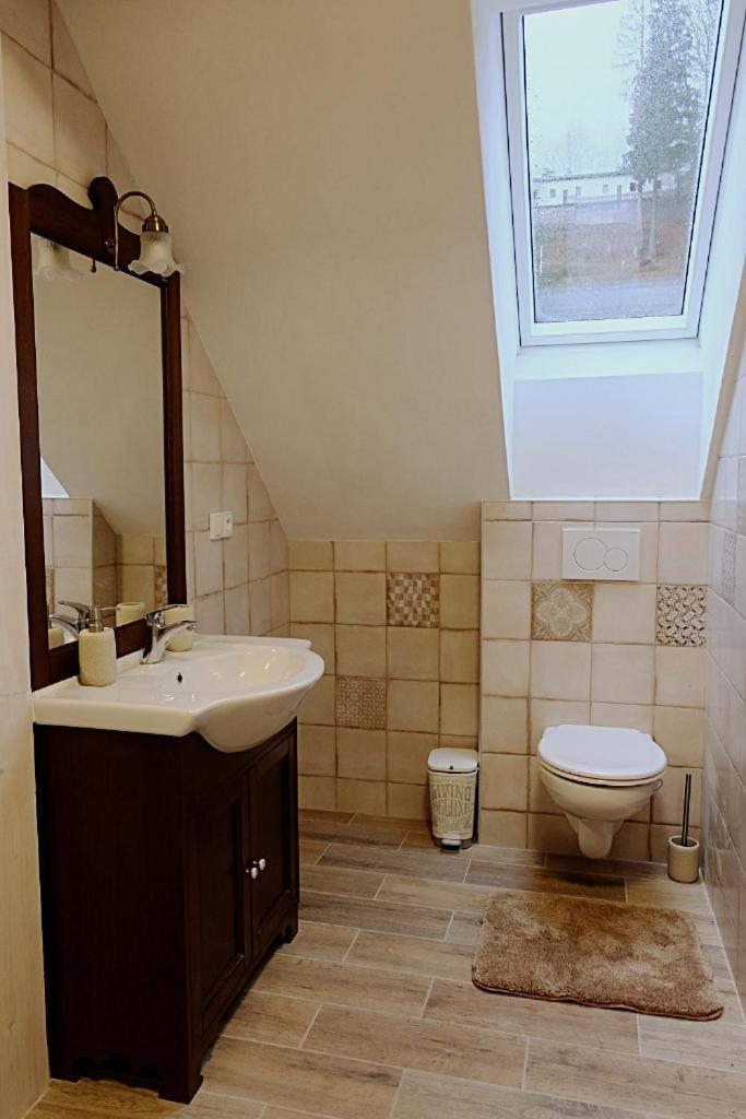 Villa Jana Janske Lazne Bagian luar foto